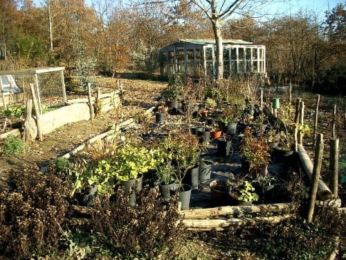 Gardening in the winter for vegetables