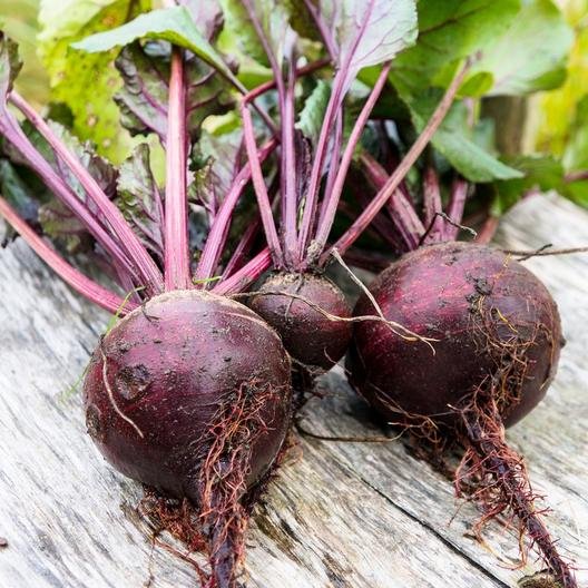 beets