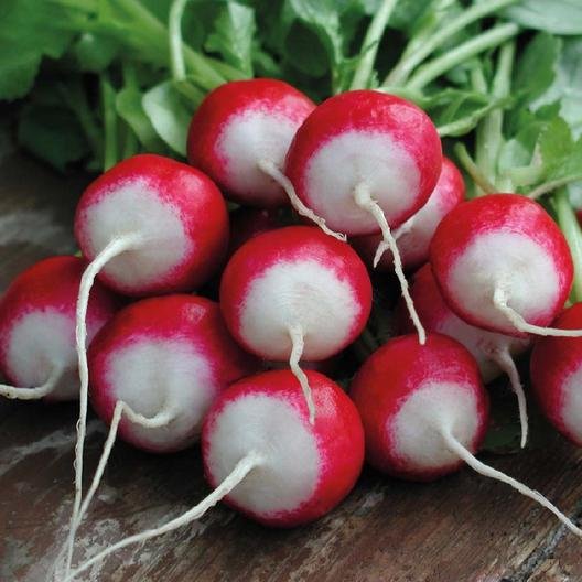 radish